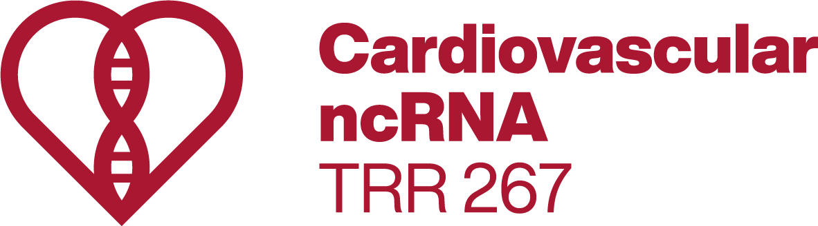 TRR267 logo